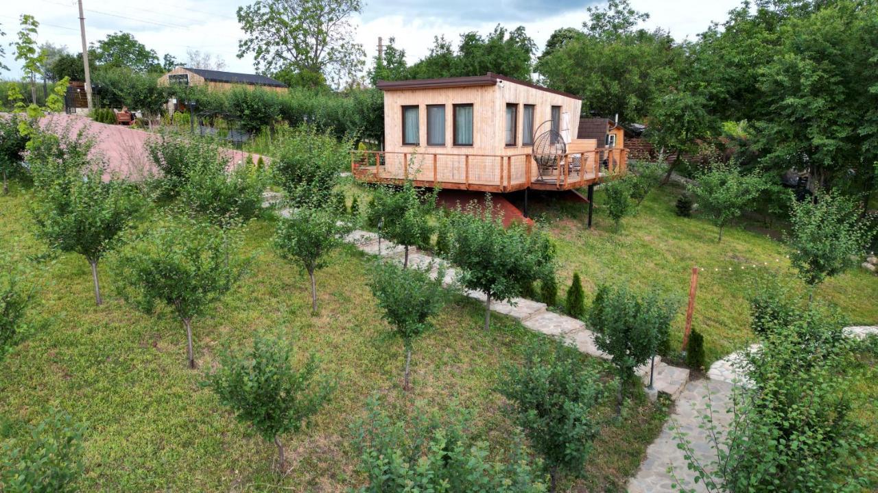 Arta Chalet Ceptura de Jos المظهر الخارجي الصورة